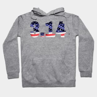 American Pi Hoodie